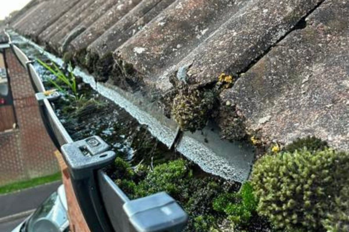 The Ultimate Guide to Gutter Cleaning in Yeovil: Why You Need It