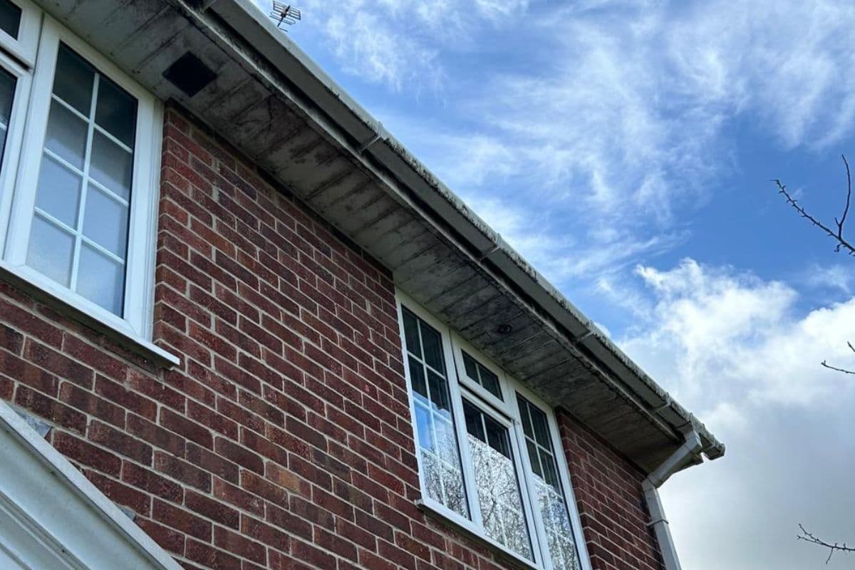 Soffit Cleaning